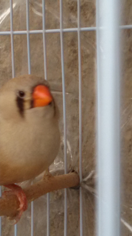 ٢?١٩?٤?٦_?٨٢?٤٦