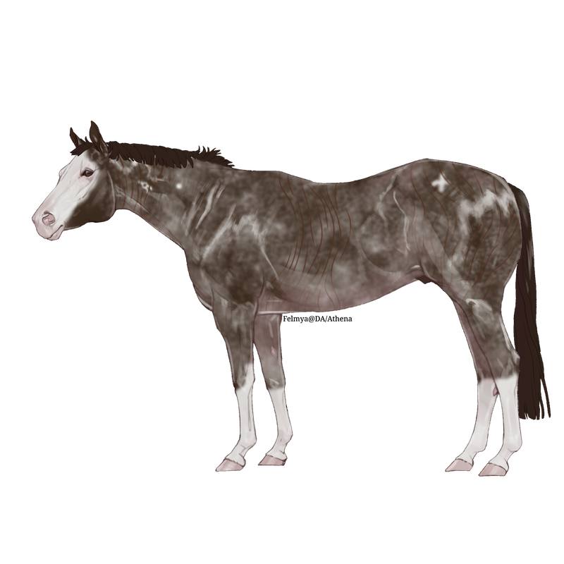 Untitled88-20250414173444.png
