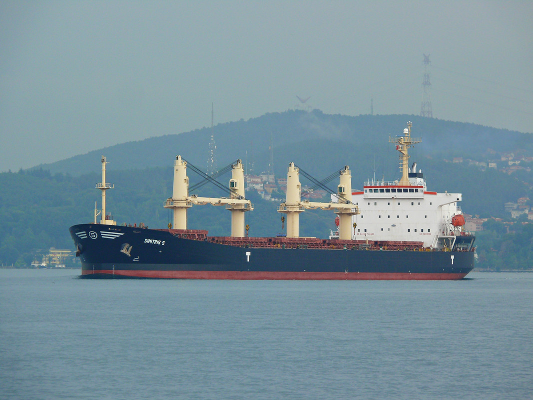 Dimitris S (OK-030814-0)