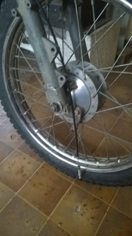 10934218_1052437051450179_1278405391_n