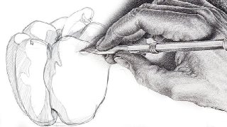 Fundamentals of Drawing Anything - Shading, pencils, more Fundamentals of Drawing Anything - Shading, pencils, more