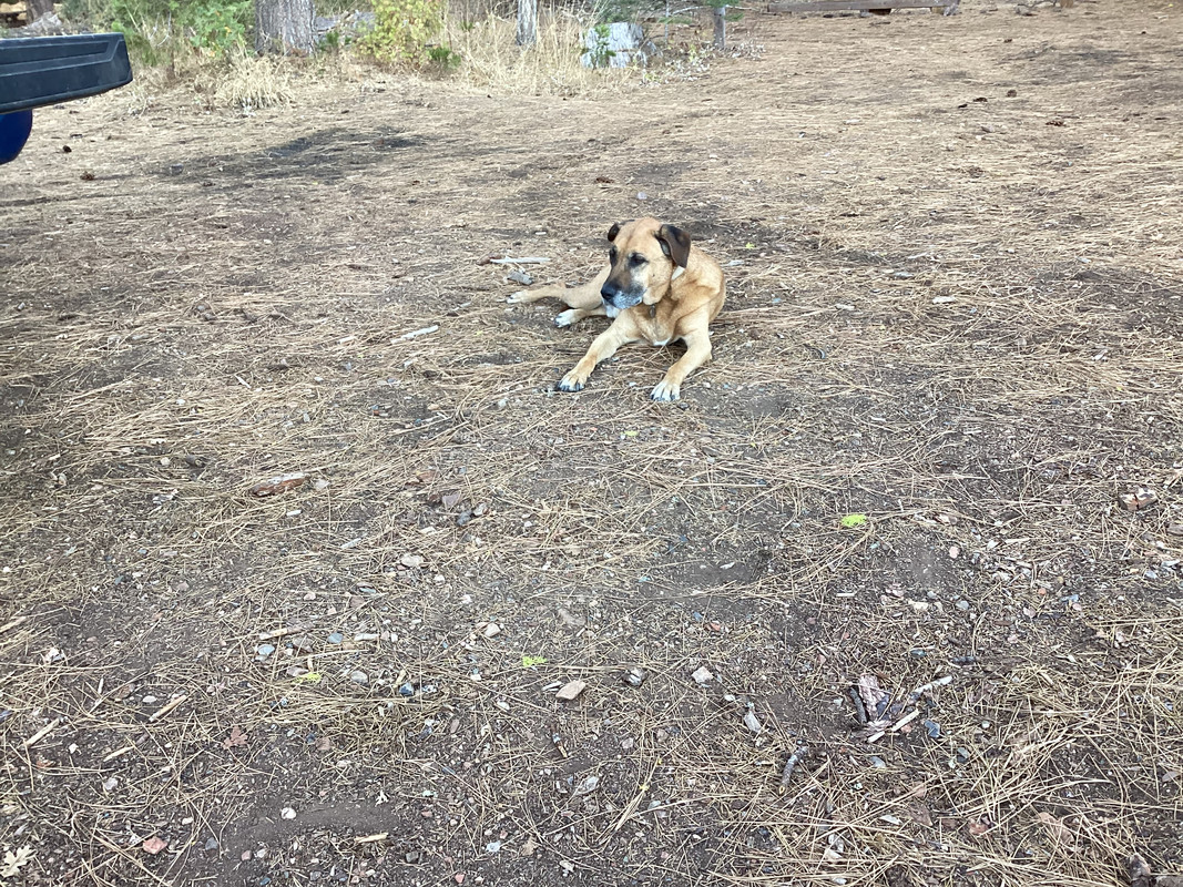 43792A70-A63C-474E-9F9F-9A4CAB748456