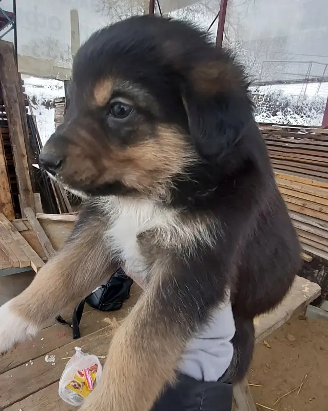 IMG_20221127_160720_659