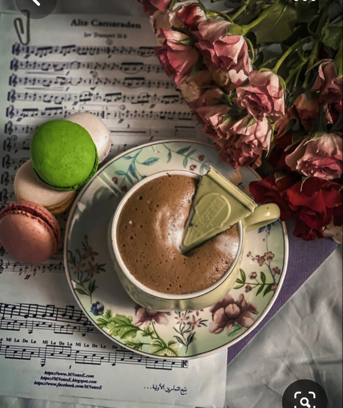 Screenshot_20230731_231443_Pinterest