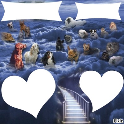 [Image: 2793596-b09f2.jpg]