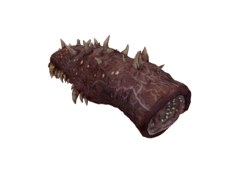 Пиявки