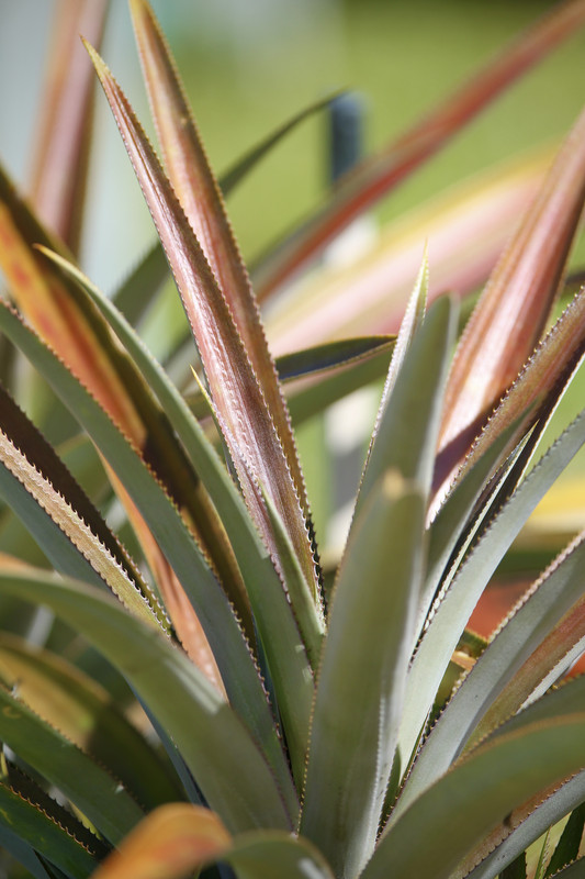 70DF200B-3BEE-4EB1-9016-CCF43C34508F