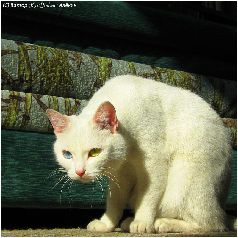 IMG-5554-23