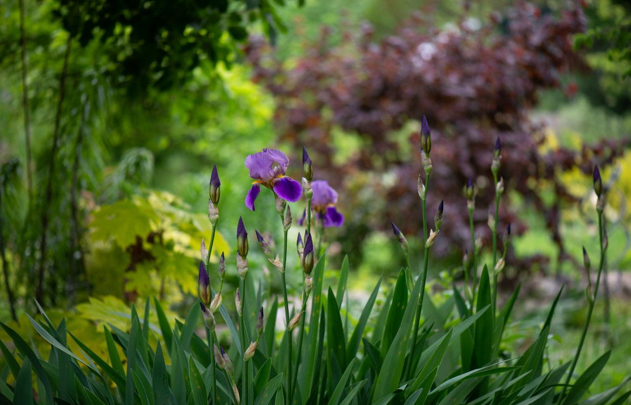 IMG-750a7d2237c6d3eb2142ee60060c5157-V