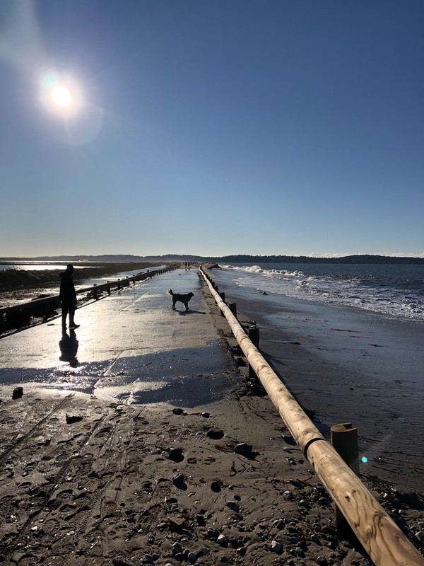 D768E636-67BD-477F-A594-76EA4DD4C5B2