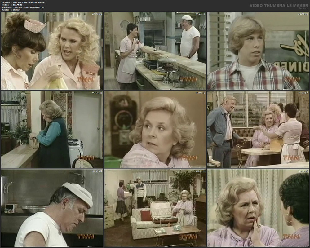 Alice S06E05 Alice's Big Four-Oh!.mkv