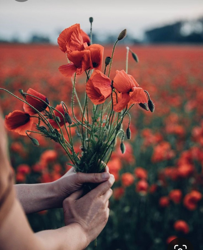 Screenshot_20230719_221239_Pinterest