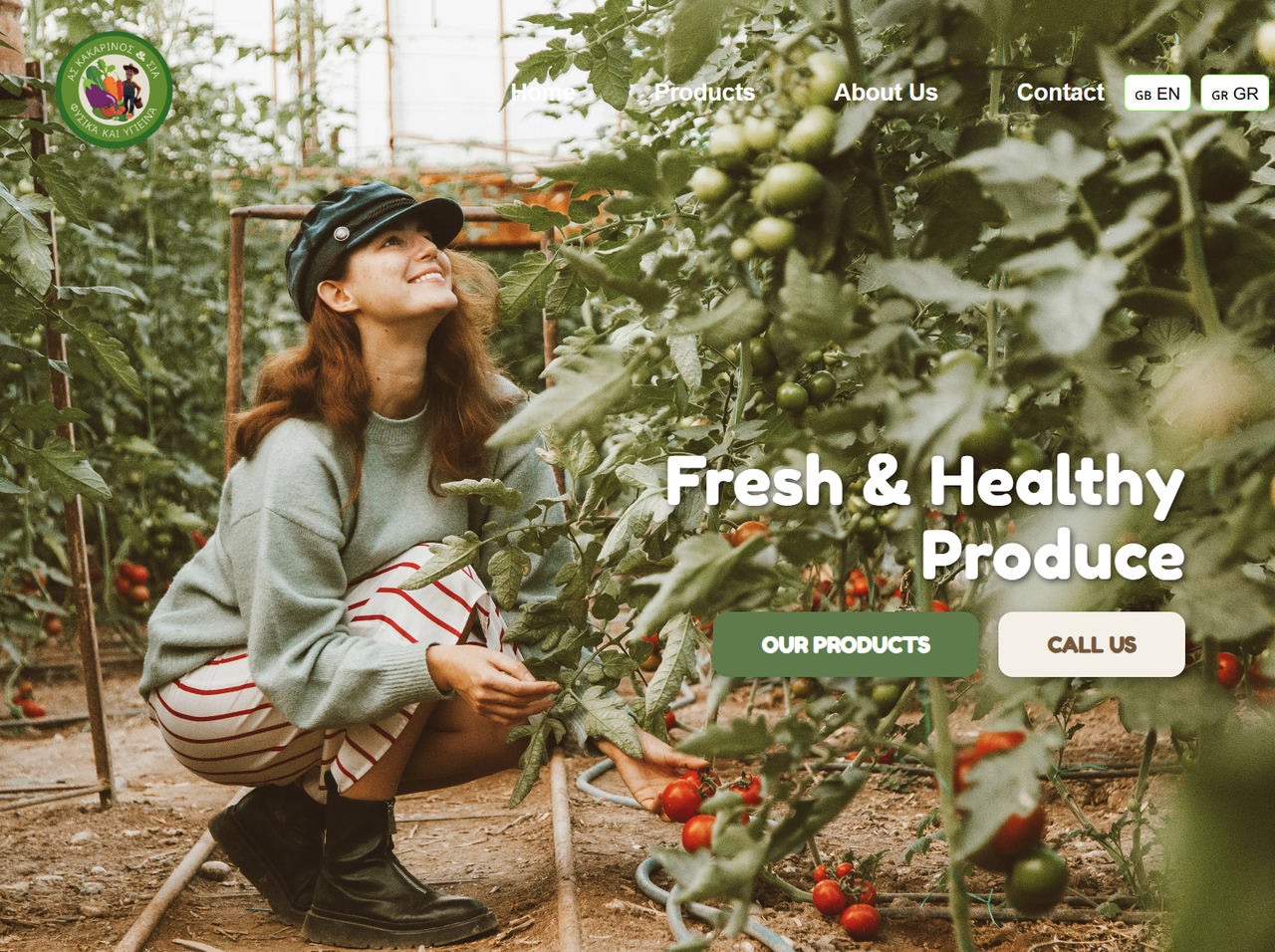 Graphic Design Instagram & Reels