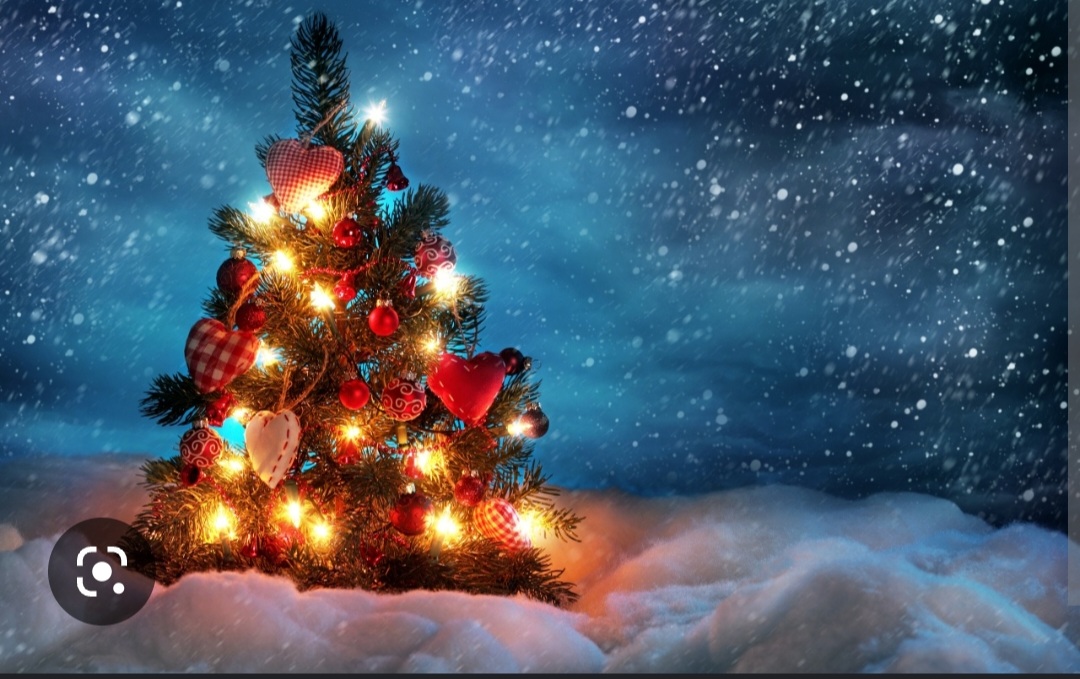 Screenshot_20221125-194033_Chrome