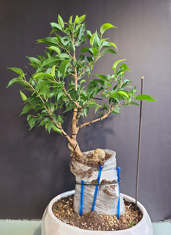 [Image: 20260326-120241.jpg]