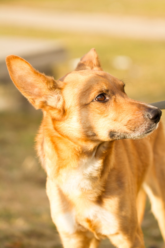 без имени-5317