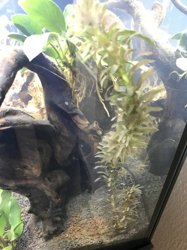 56DF49C6-A06C-4523-BB4D-D43AFDCCE096