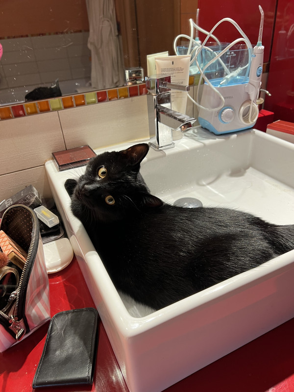 A6348B6C-ACFD-45E0-A74A-158A391DCA6B