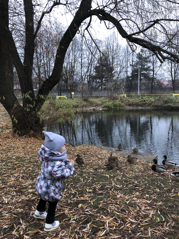 404D8840-4E0F-428C-A72A-84CC87A0F44B