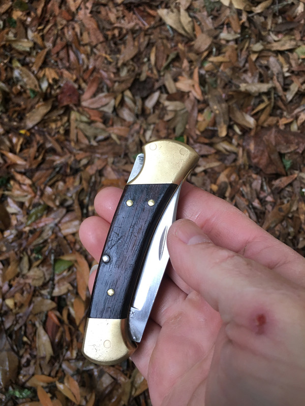 75F0F5E0-7A33-462B-948F-433C484F08B4