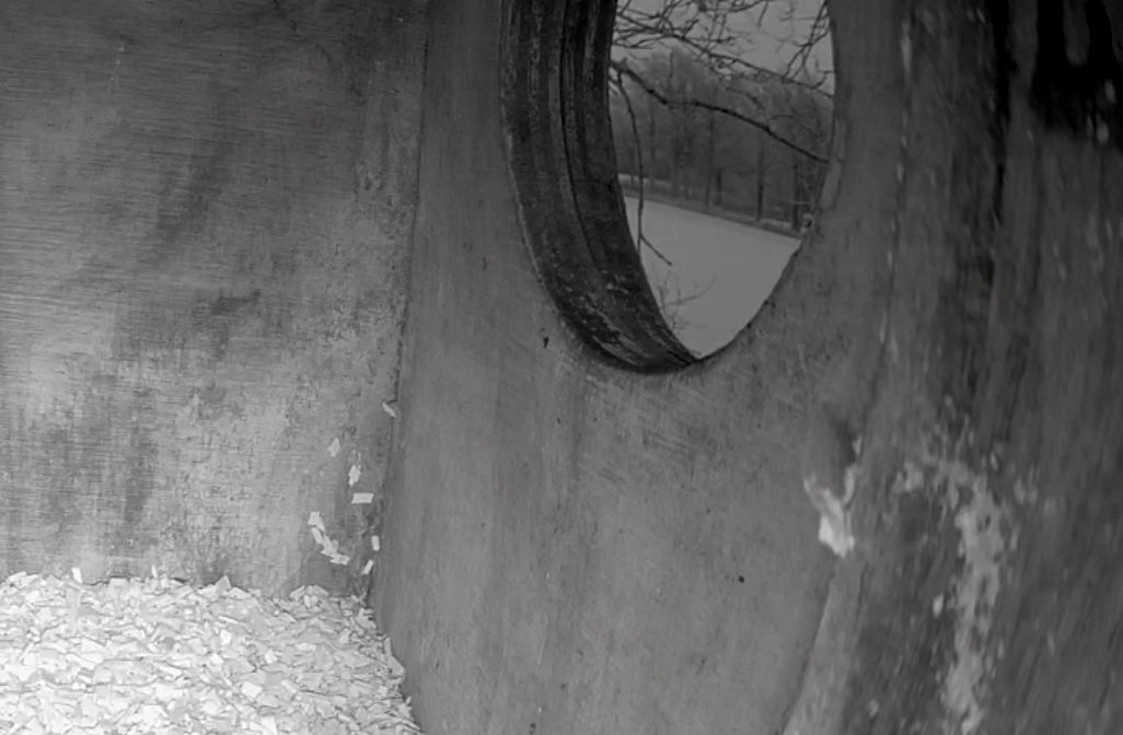 BU NKL 4 mooi winters doorkijkje clipped