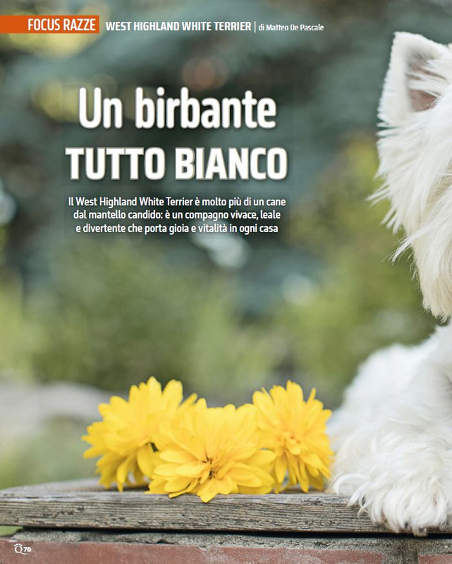 QuattroZampe Set 2024 (3)