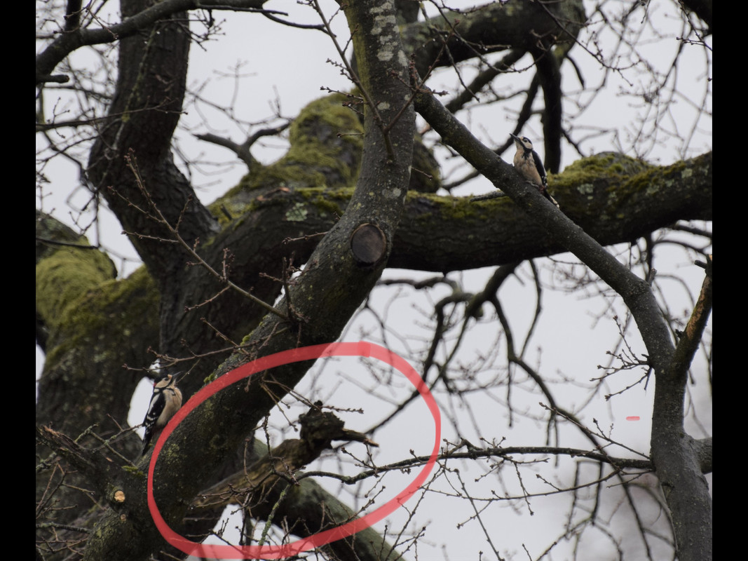 BDFECD94-0076-4357-B0CB-01D0DDB6311D