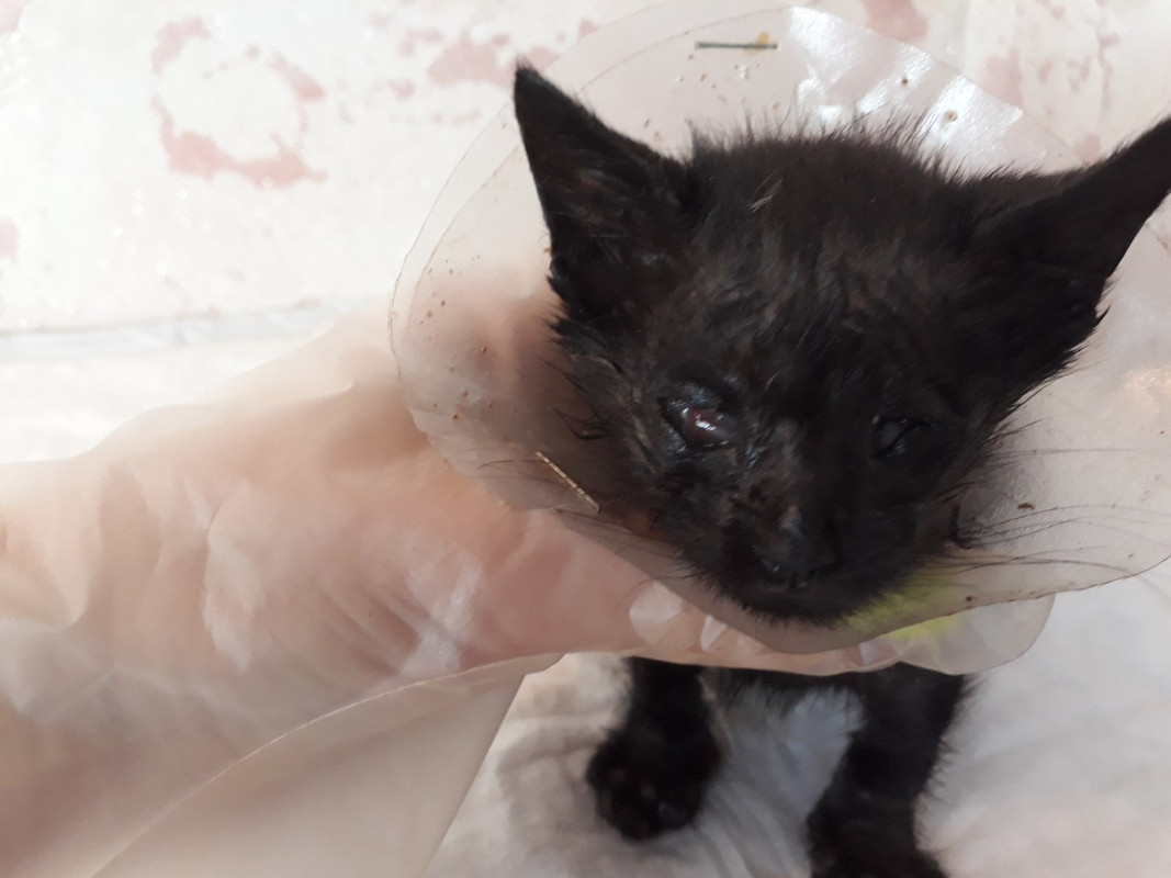 изображение_viber_2019-09-06_13-45-41