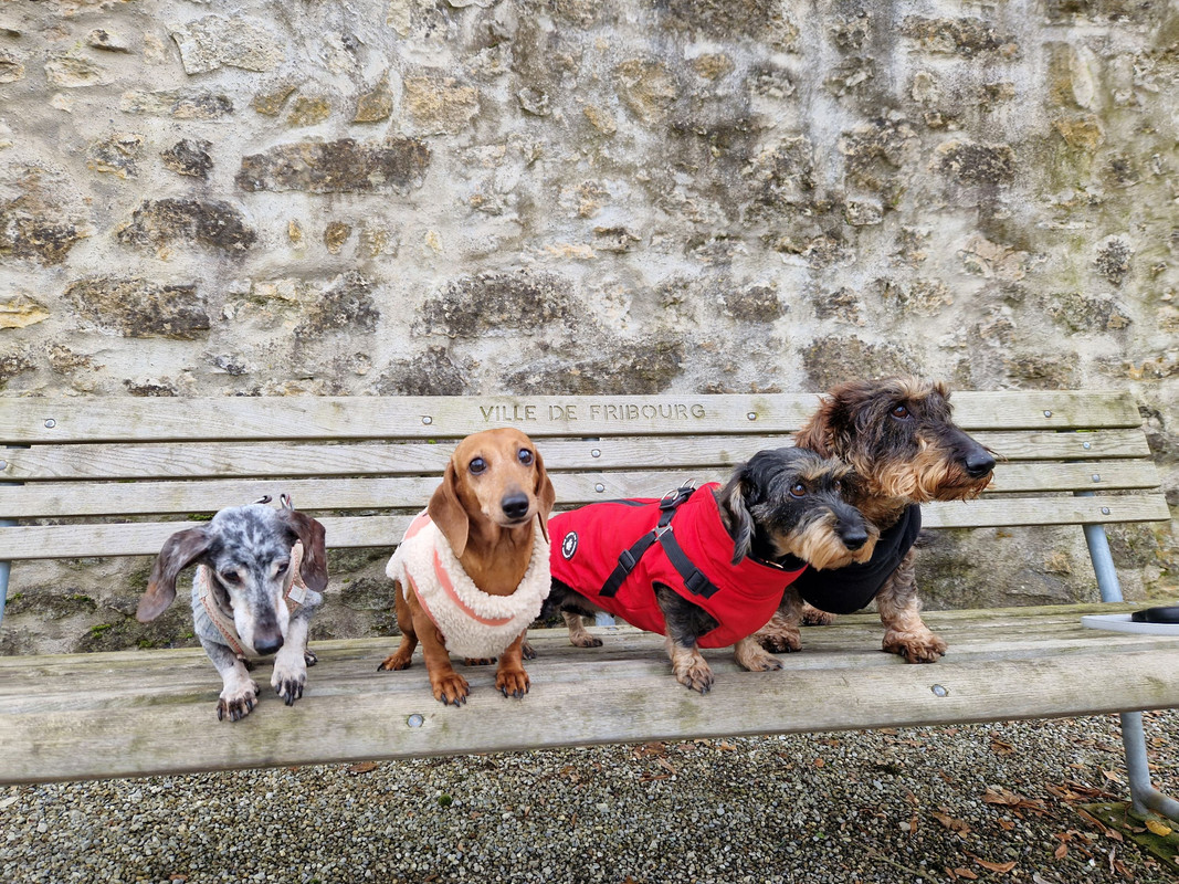 [Image: 20241201-110701.jpg]