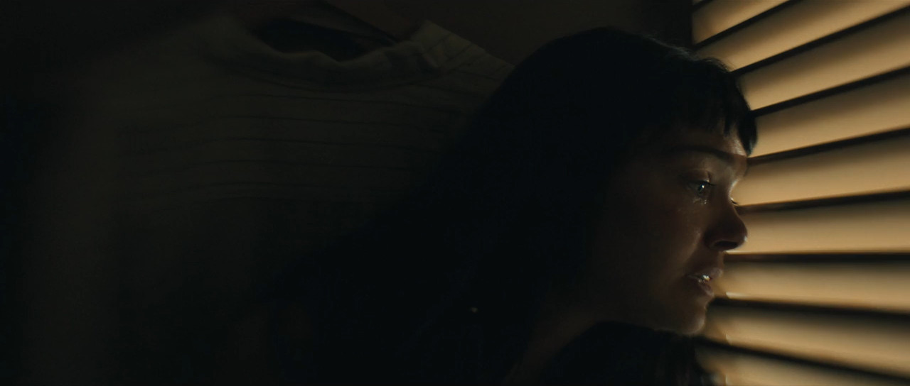 The Marked Woman 2026 WebRip [Hindi + Tamil + Telugu + English] 480p 720p ESub Screenshot