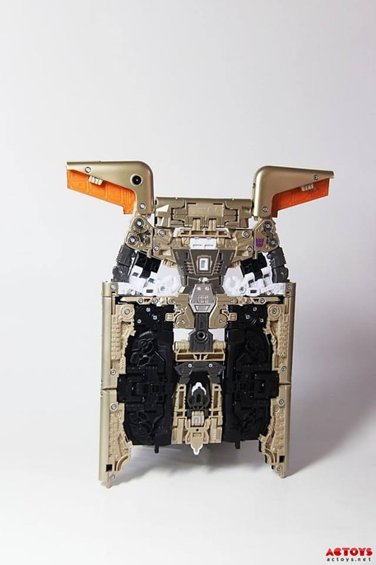 12924545_245122502504851_3520396967246721419_n