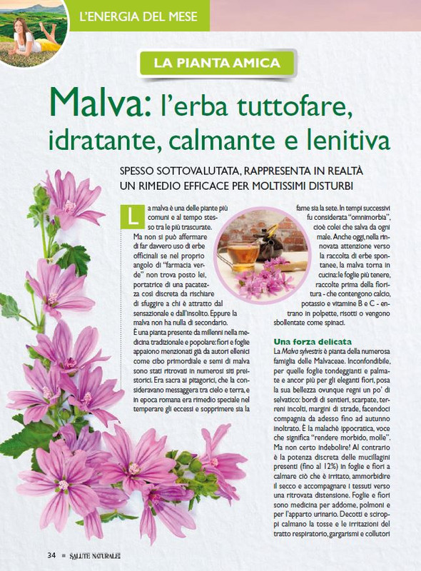 Sal Nat Apr 2026 (3)