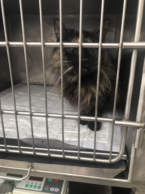 73680ED2-0997-47EF-8B47-9C8A80948C85