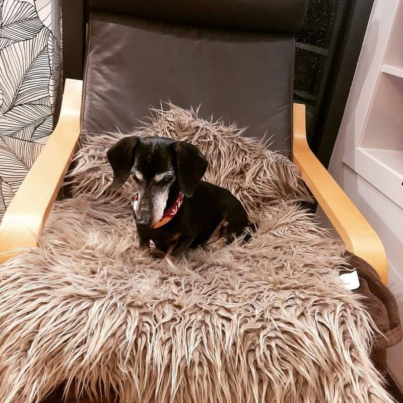 [Image: 300033464-628140301946919-753387836481368005-n.jpg]