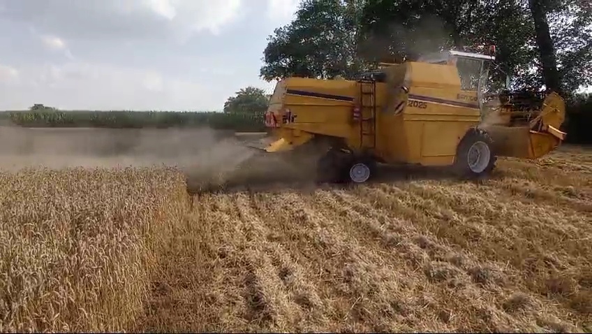 VideoCapture_20240724-052326