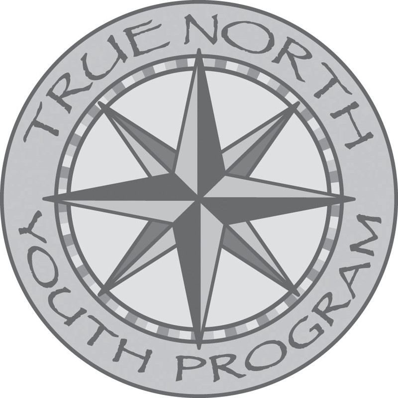 True North Logo w_ Transparent Background 2