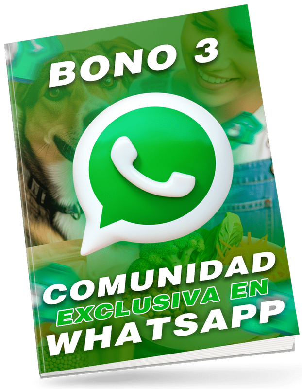 Bono 3