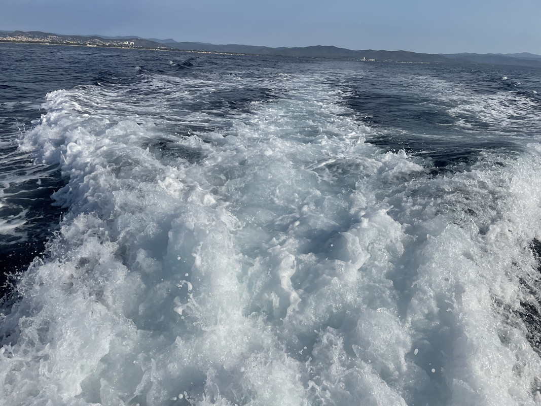 146C13F3-6E54-4A52-941A-51B799B8C61D