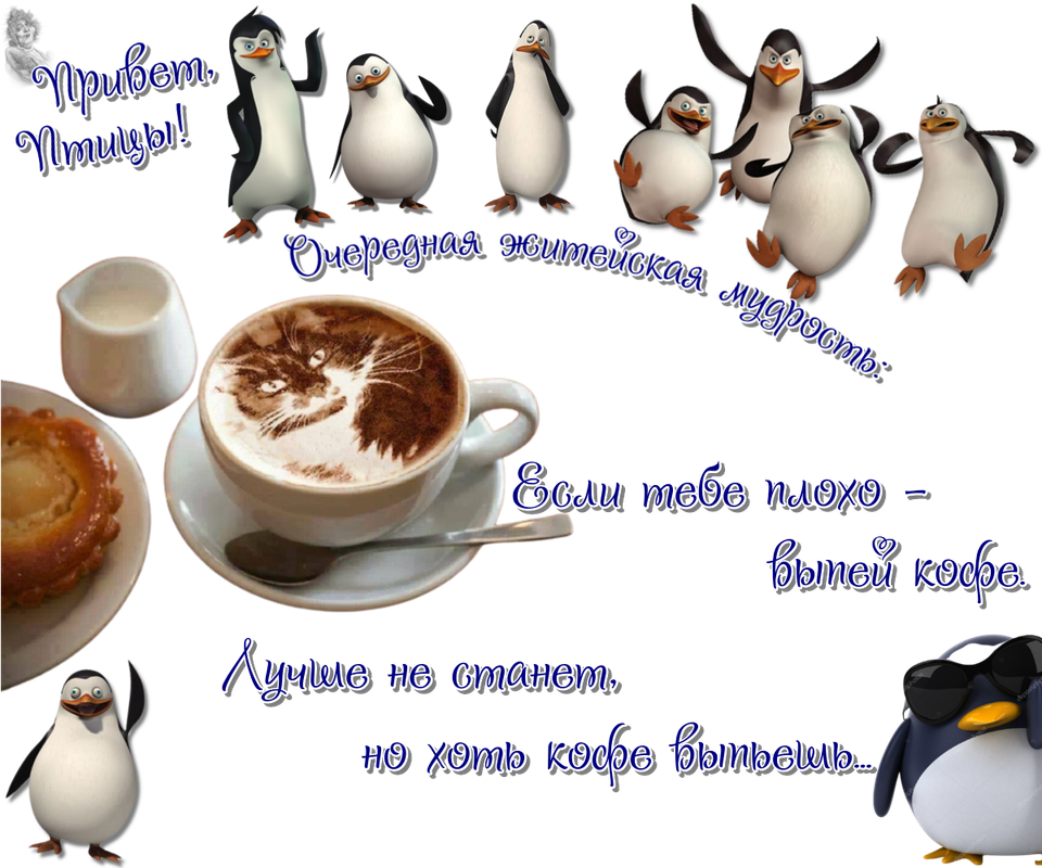 https://i.postimg.cc/HW8YkzqV/03-04.png
