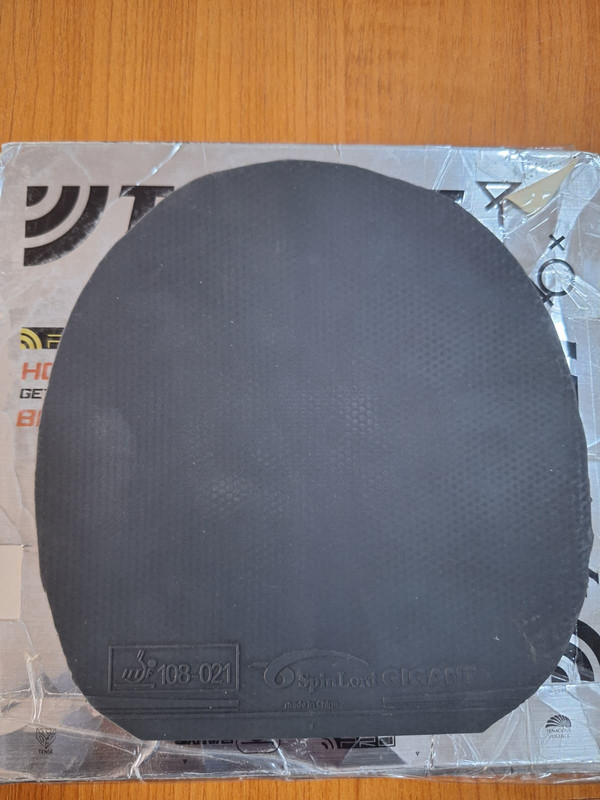 WhatsApp Image 2025-10-10 at 00.40.10 (1)