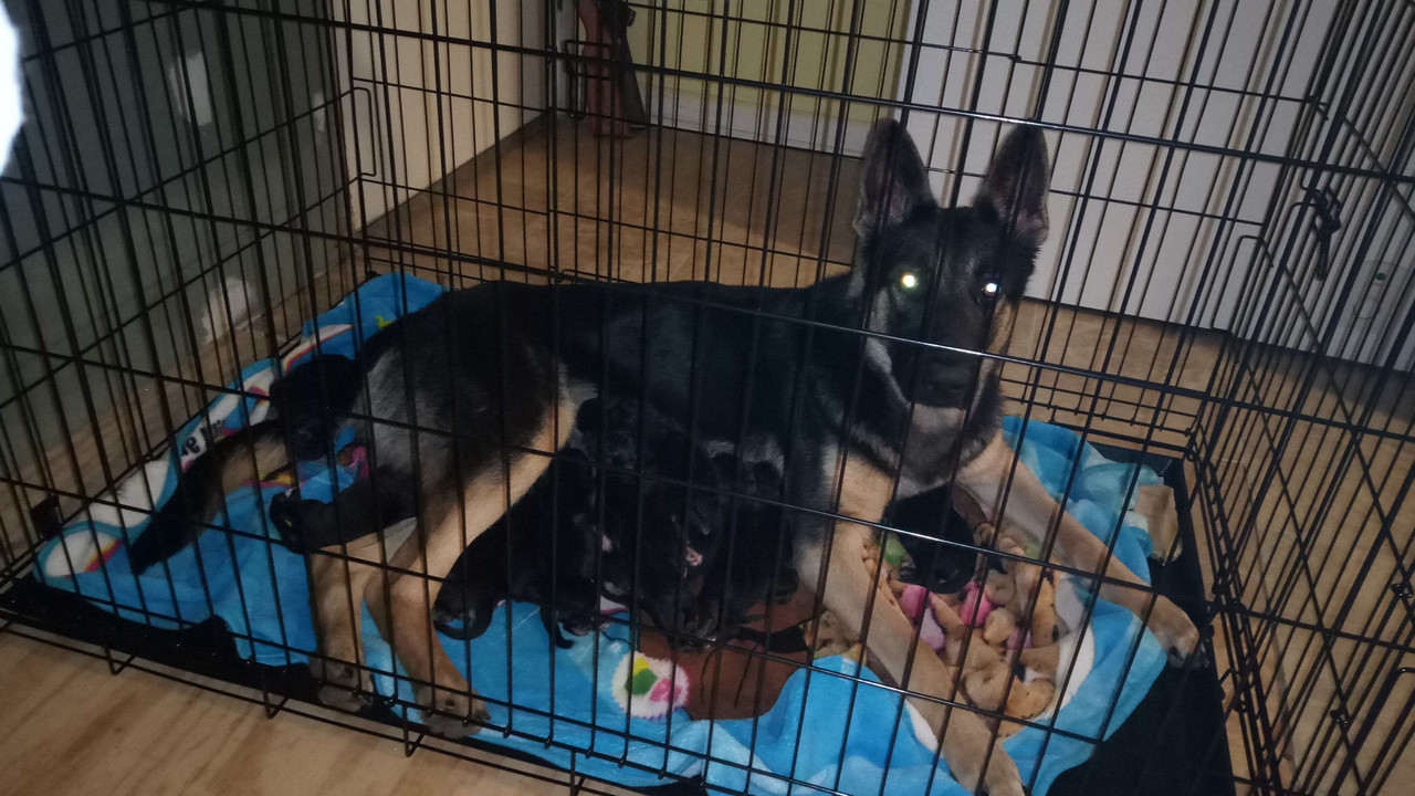 21AFA9D8-5047-4962-838A-0BC3B468DCEB