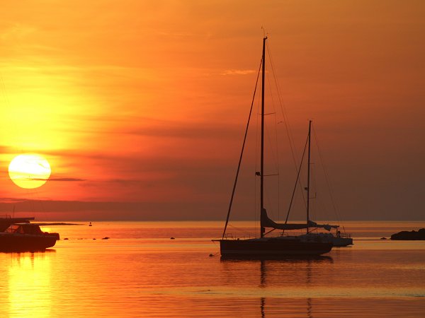 Larchmont07202019-2.jpg