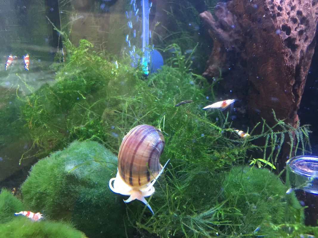 3D095055-6A86-422B-B931-1A991F621C7D