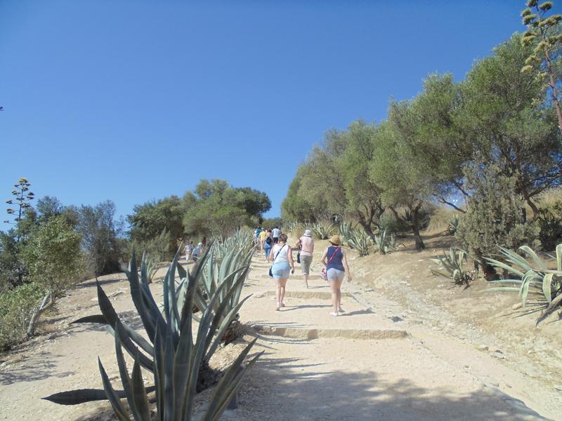 Un viaje por la Historia y los mitos: Malta y Sicilia. - Blogs de Europa Sur - Día Ocho: Segesta-Agrigento. (1)