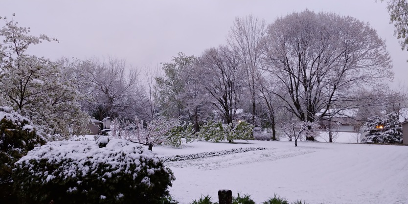 [Image: Snow-on-Garden-4-21-2021-1.jpg]