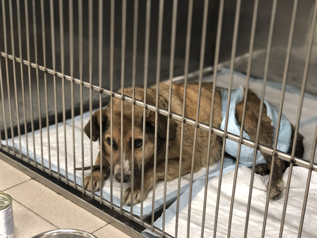 4EF99007-7050-4B2F-ABC0-253723F1D8AA