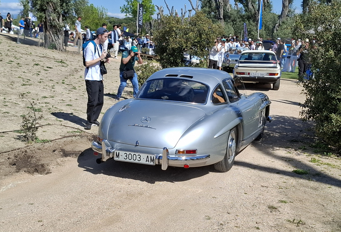 20250426-114055.jpg