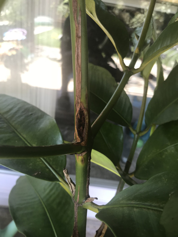 D58C13E1-EF39-47FE-B7B2-30BA6F9EE063