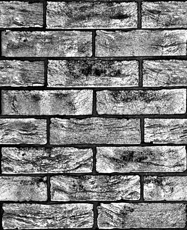 414820_313089162084042_965517297_o