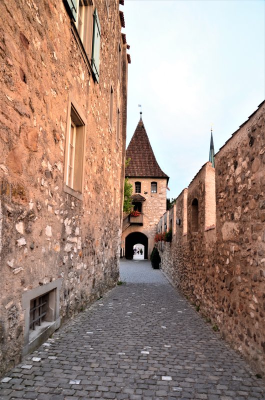 CATARATAS DEL RHIN-5-9-2019 - Suiza y sus pueblos-2019 (39)